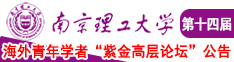 日b免费看南京理工大学第十四届海外青年学者紫金论坛诚邀海内外英才！